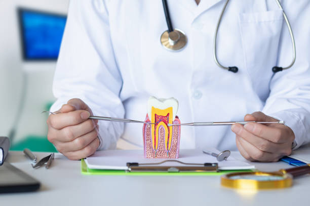 Best Urgent Dental Care for Toothache in Fanwood, NJ